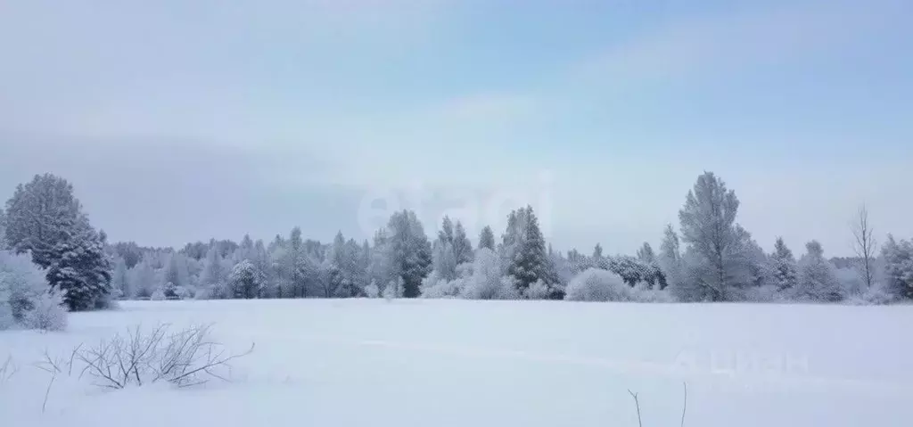 Участок в Ленинградская область, Кириши Сиреневый бул. (12.0 сот.) - Фото 2