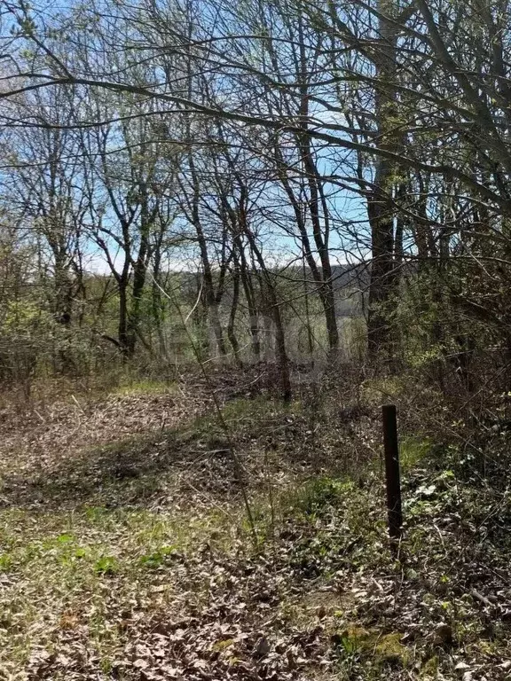 Участок в Ставропольский край, Ставрополь Нива ДНТ,  (9.38 сот.) - Фото 1