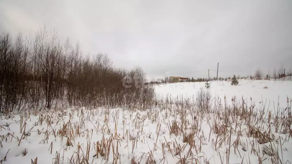 Участок в Томская область, Томский район, д. Лязгино ул. Новая (10.0 ... - Фото 1