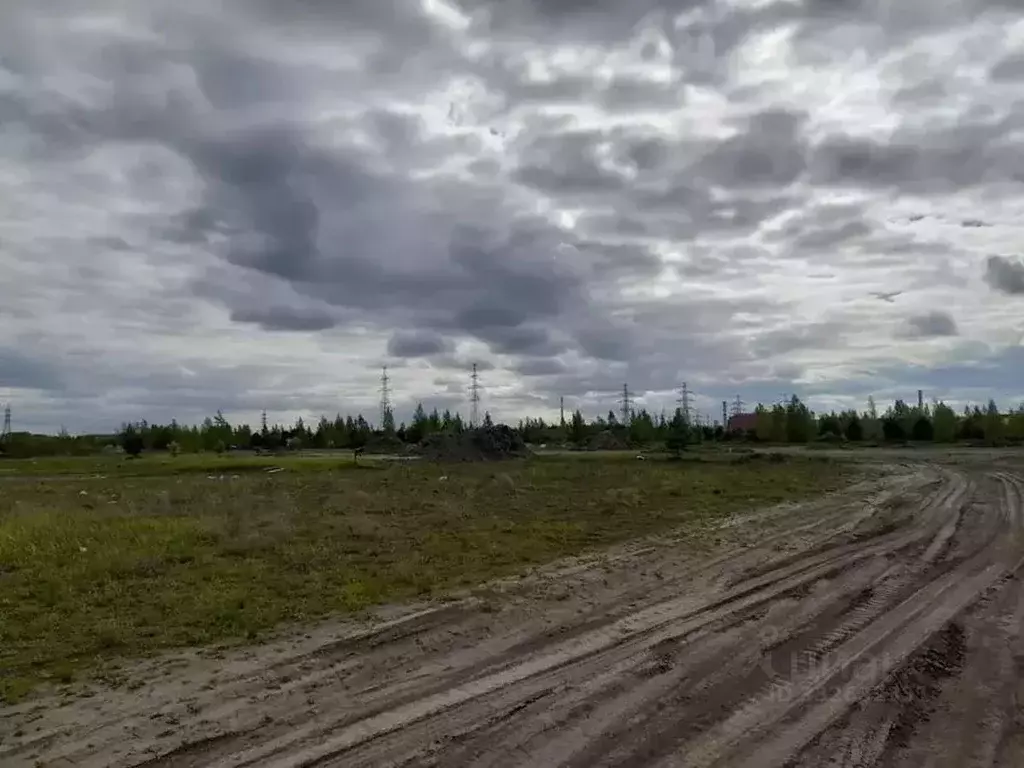 Участок в Тюменская область, Тюмень  (41.0 сот.) - Фото 1