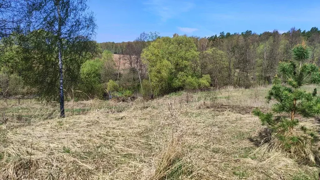 Участок в Московская область, Домодедово городской округ, д. ... - Фото 0