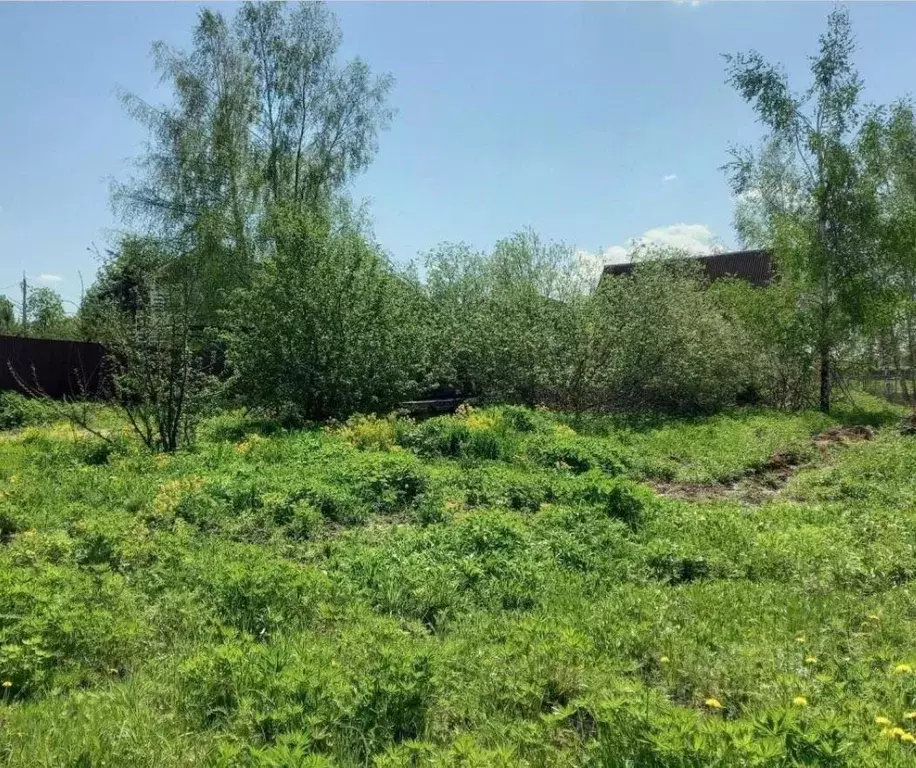 Участок в Московская область, Дмитровский муниципальный округ, д. ... - Фото 0
