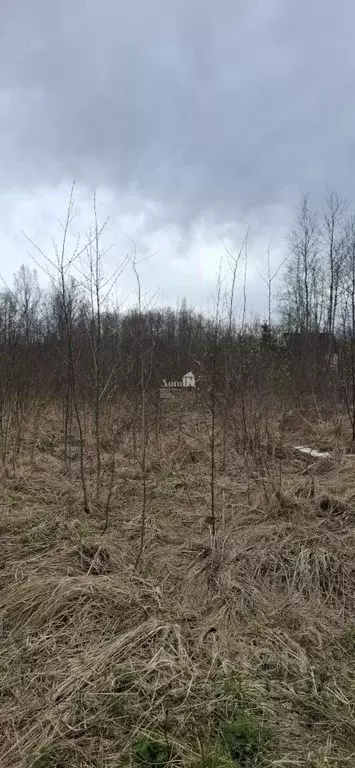 Участок в Ленинградская область, Кировский район, Мгинское городское ... - Фото 2