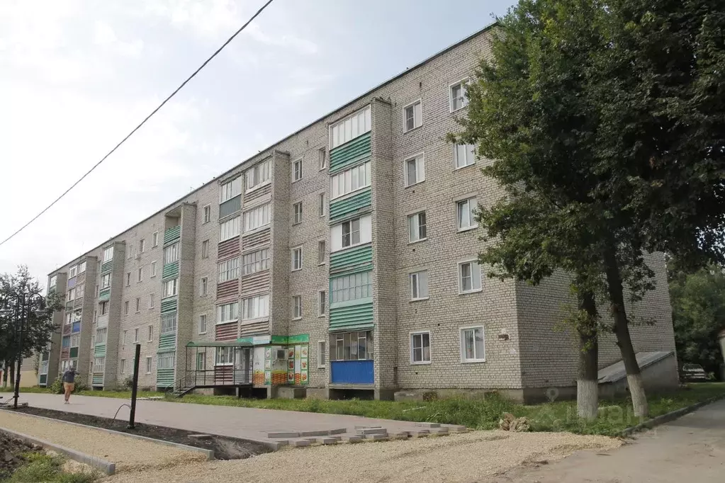 1-к кв. Липецкая область, Чаплыгин Московская ул., 20 (32.9 м) - Фото 1