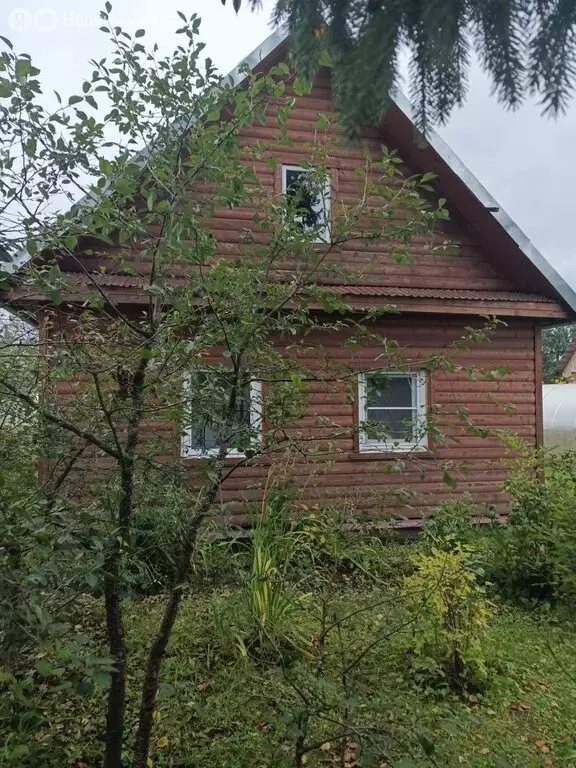 Дом в городской посёлок Форносово, Погинская улица, 19 (50 м) - Фото 2