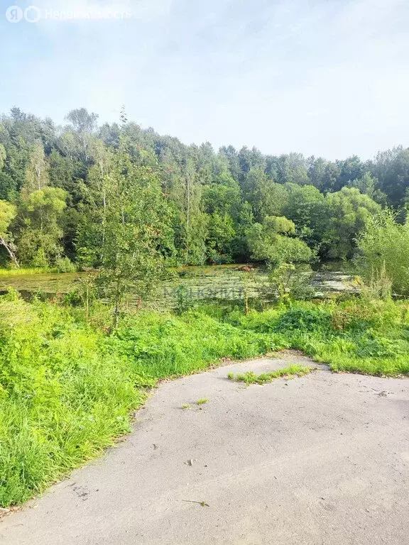 Участок в Москва, ТАО, район Вороново, село Свитино (9.85 м) - Фото 2