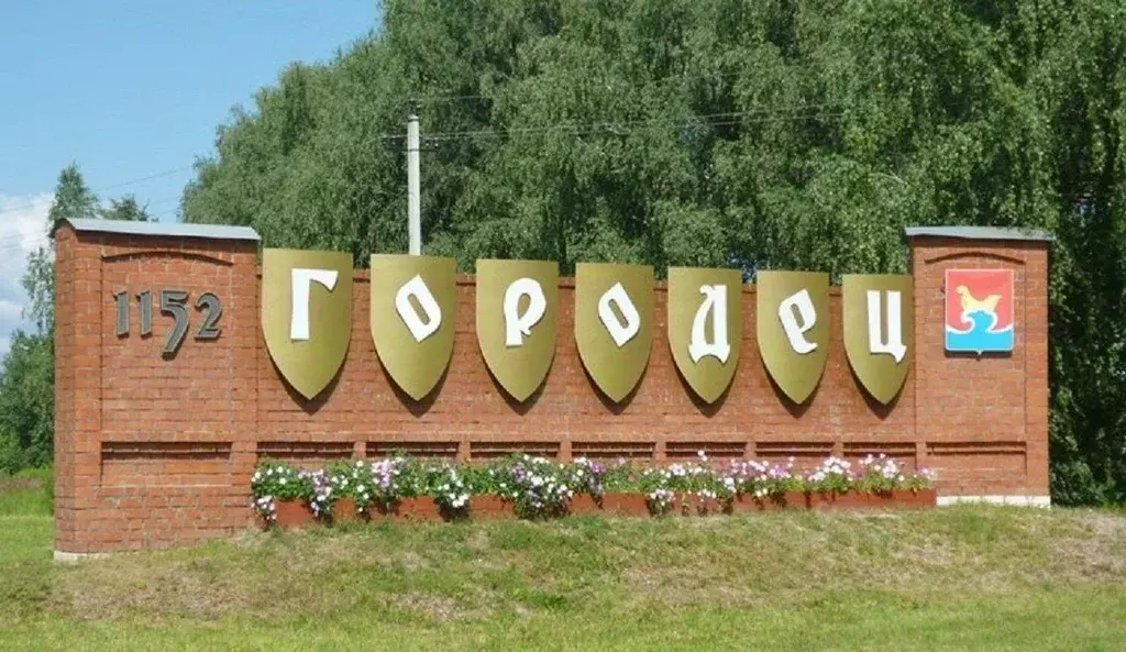 Участок в Брянская область, Выгоничское городское поселение, с. ... - Фото 1