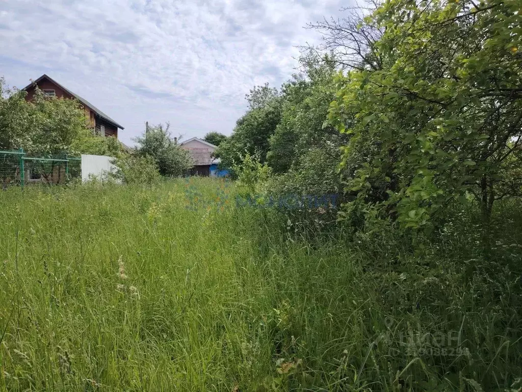 Участок в Нижегородская область, Богородский муниципальный округ, д. ... - Фото 1