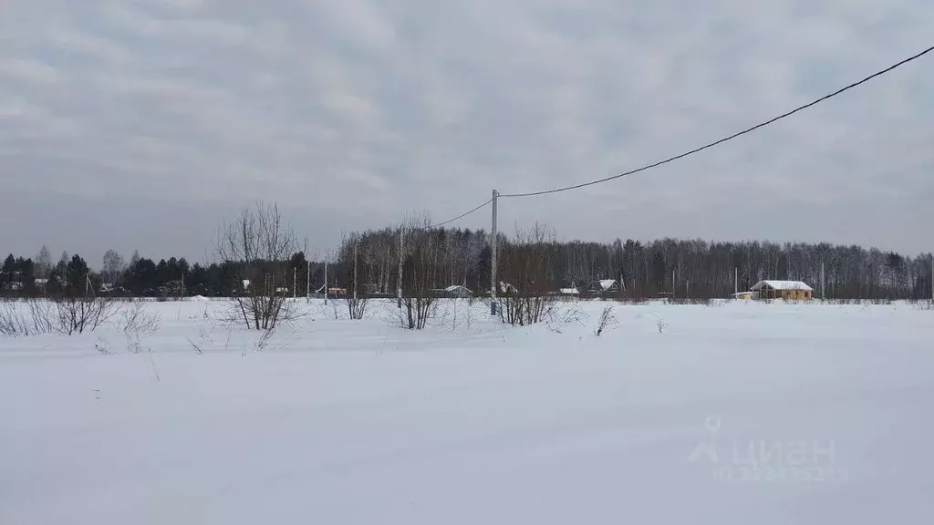 Участок в Московская область, Дмитровский муниципальный округ, д. ... - Фото 1