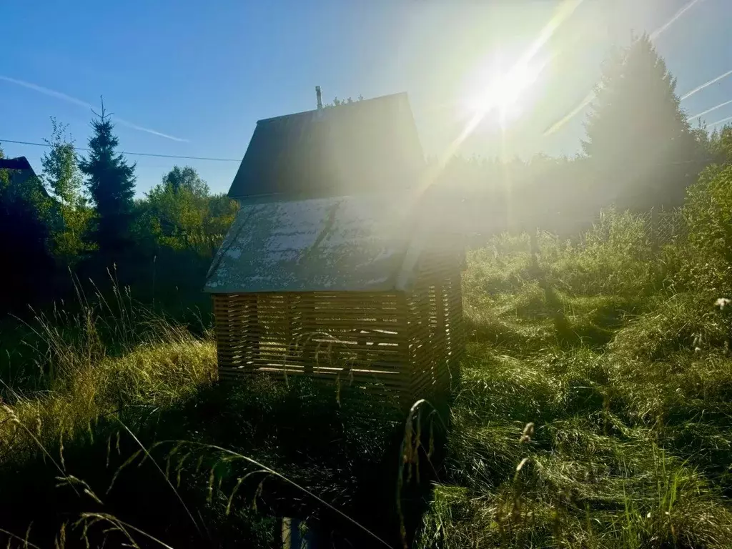 Участок в Ленинградская область, Лужский район, Мшинское с/пос, ... - Фото 0