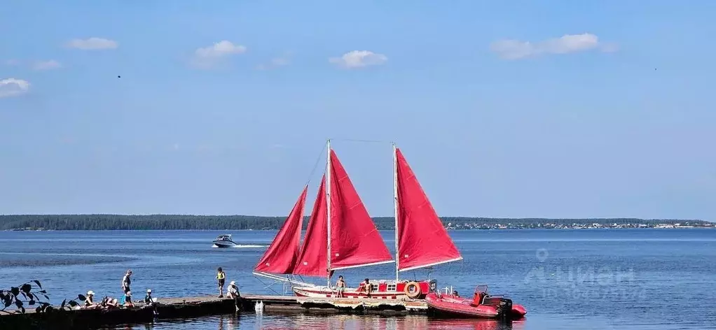 Участок в Челябинская область, Каслинский район, Тюбукское с/пос, ... - Фото 1