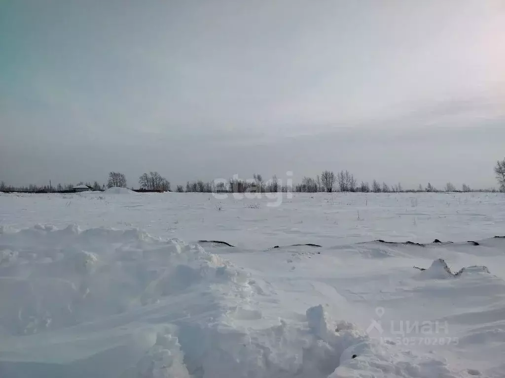 Участок в Омская область, Омск Александровская ул. (10.0 сот.) - Фото 1