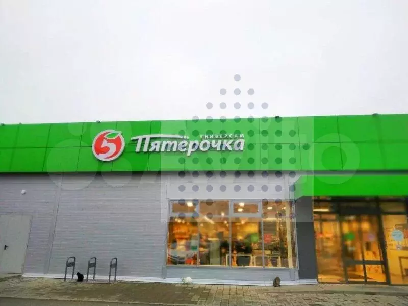 Пятерочка 560 кв. м, федеральные арендаторы, быстрая окупаемость - Фото 0