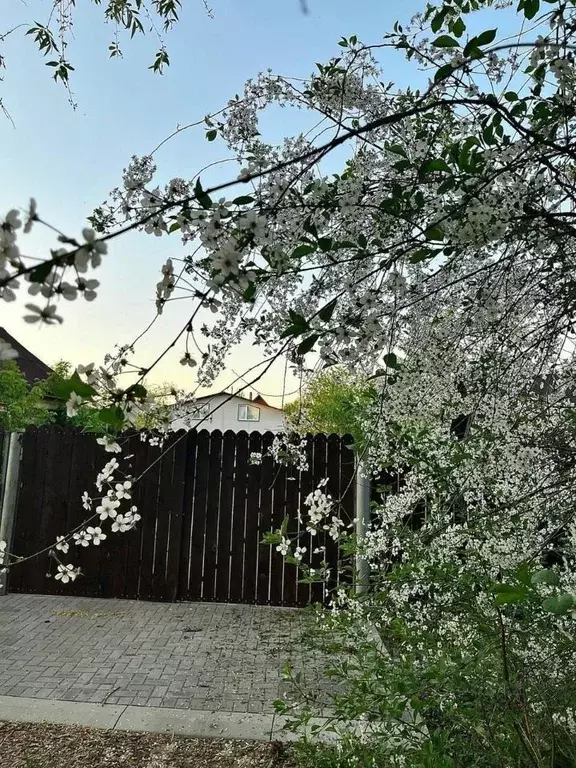 Дом в Владимирская область, Суздаль Гончарная ул., 18 (237 м) - Фото 2