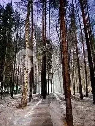 2-к кв. Пермский край, Пермь ул. Спешилова, 112 (40.66 м) - Фото 2