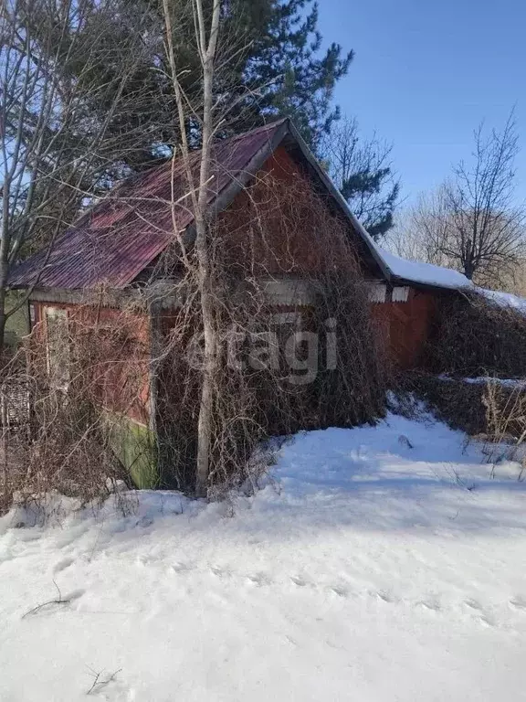 Дом в Хабаровский край, Хабаровский район, Восток СНТ  (20 м) - Фото 1