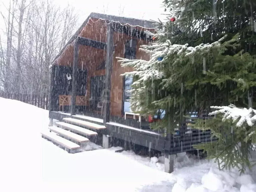 Дом в Московская область, Щелково городской округ, с. Трубино, ... - Фото 1