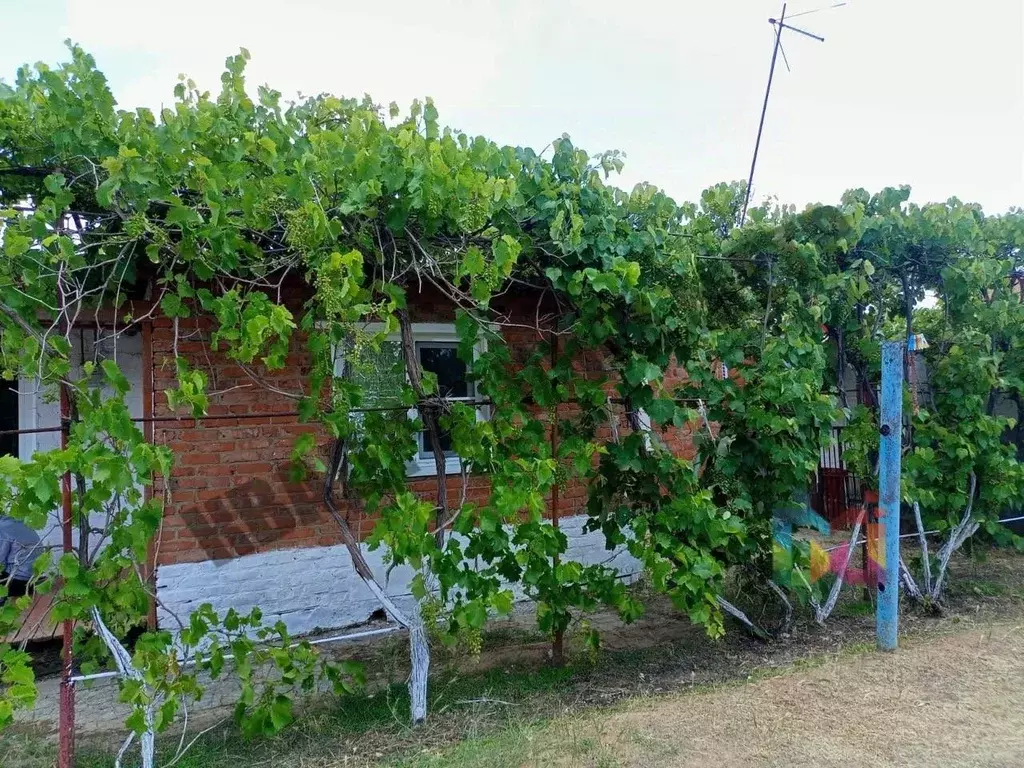 Дом в Калмыкия, Лагань Целинная ул., 12 (114 м) - Фото 2