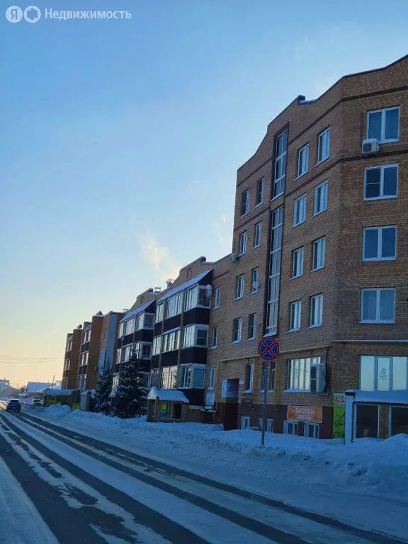 1-комнатная квартира: село Еткуль, улица Ленина, 50 (42.7 м) - Фото 1