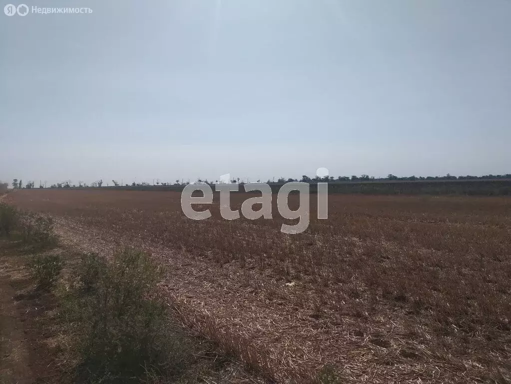 Участок в Сакский район, село Митяево (387.4 м) - Фото 1