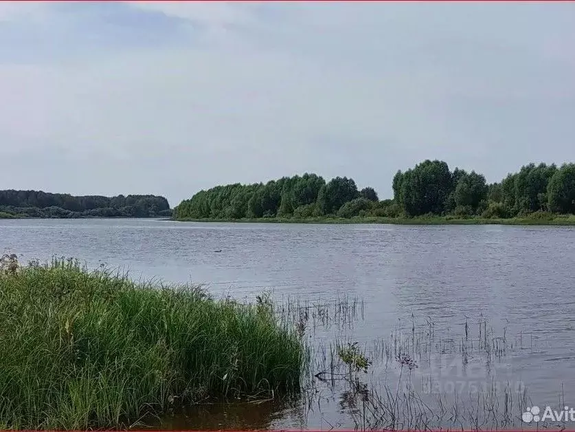 Участок в Вологодская область, Сокольский муниципальный округ, д. ... - Фото 2