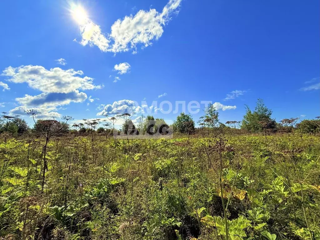 Участок в Ярославская область, Переславль-Залесский муниципальный ... - Фото 2