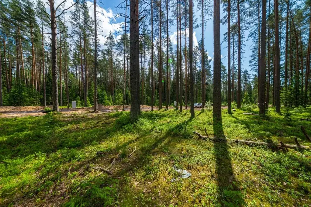 Купить Землю Под Санкт Петербургом