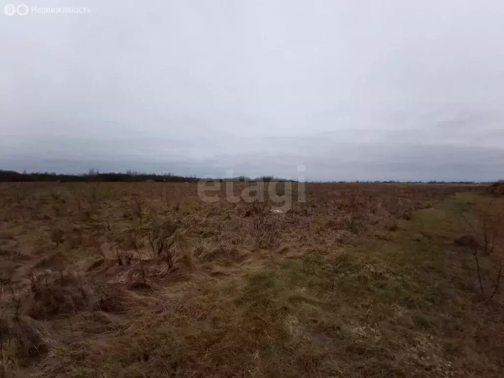 Участок в деревня Дуброво, Хуторской переулок (30 м) - Фото 0