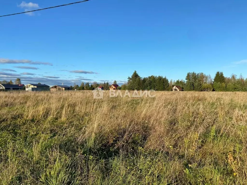 Участок в Ленинградская область, Гатчинский муниципальный округ, д. ... - Фото 2