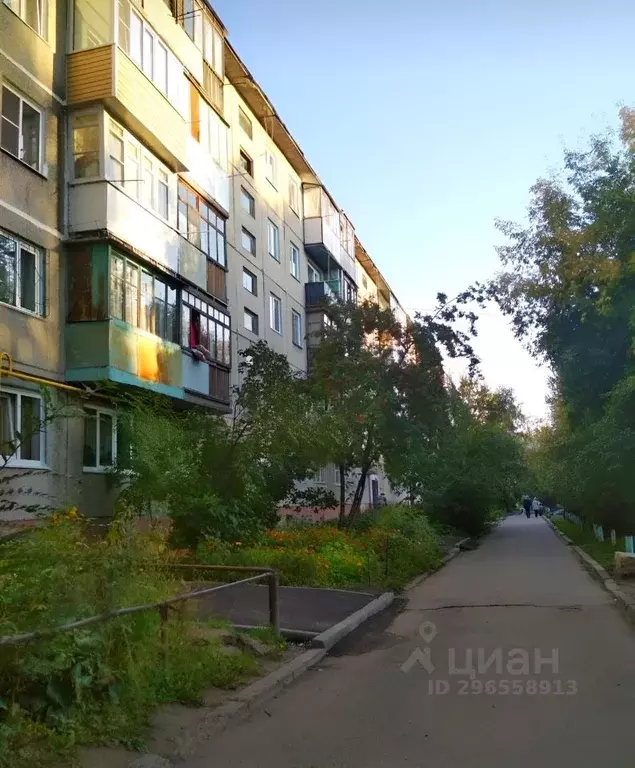 1-к кв. Алтайский край, Барнаул ул. Островского, 58 (31.0 м) - Фото 1