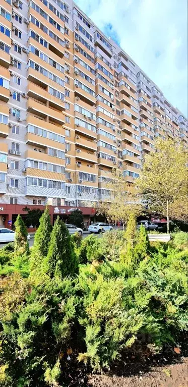 Помещение свободного назначения в Краснодарский край, Краснодар ... - Фото 1