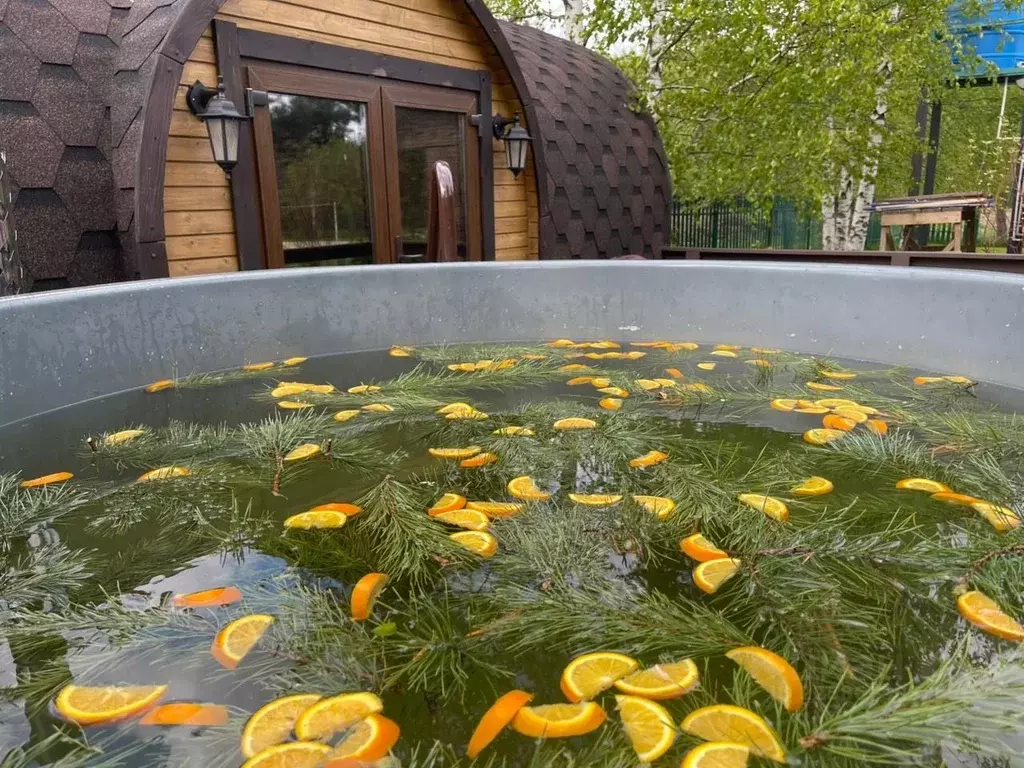 Дом в Рязанская область, Клепиковский район, Уткинское с/пос, д. ... - Фото 1