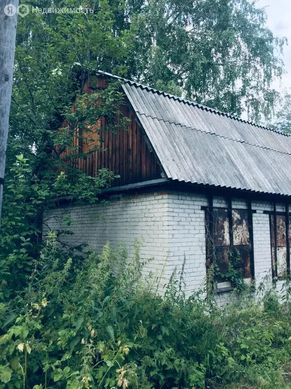 Участок в Барышевский сельсовет (6 м) - Фото 1