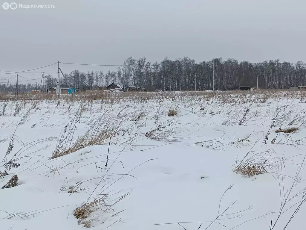 Участок в Сосновский район, Краснопольское сельское поселение, деревня ... - Фото 0