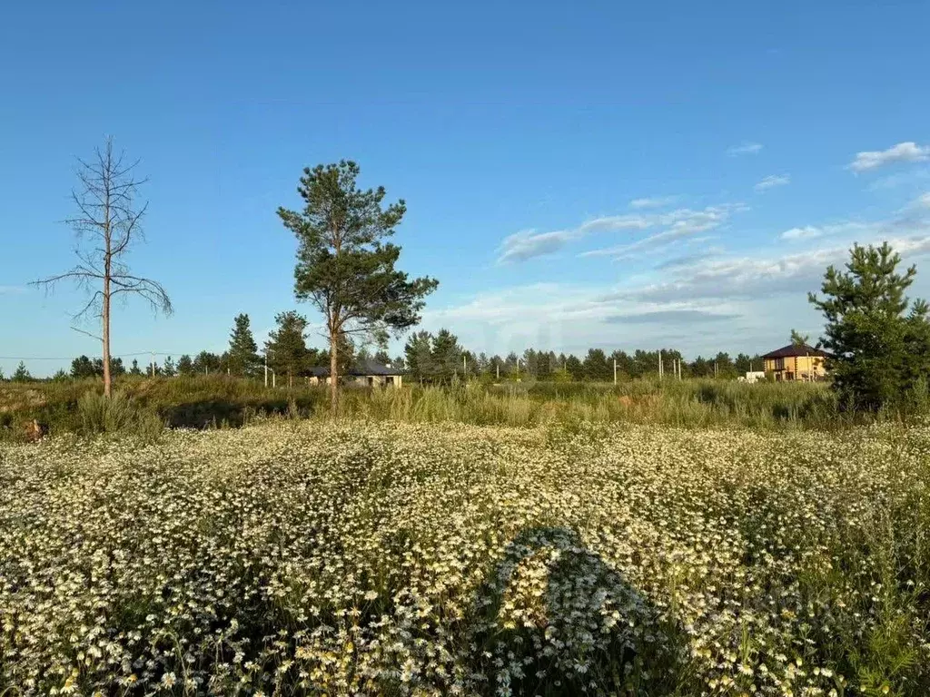 Участок в Ульяновская область, Ульяновский район, Ишеевское городское ... - Фото 1