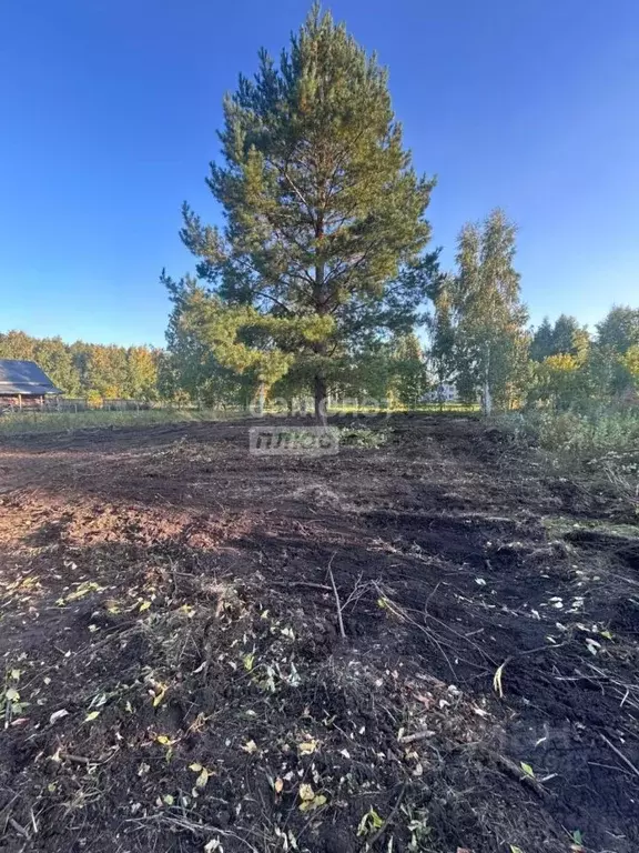 Участок в Алтайский край, Барнаул Декоративная ул., 1И (8.37 сот.) - Фото 2