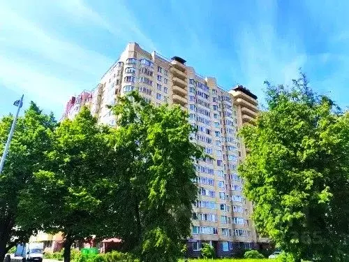 Студия Санкт-Петербург Кондратьевский просп., 70к1 (21.0 м) - Фото 0