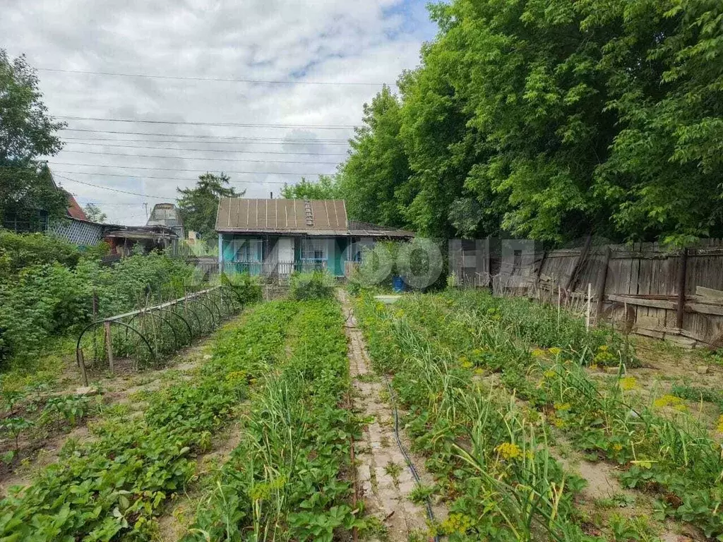 Дача 30 м на участке 5 сот. - Фото 0