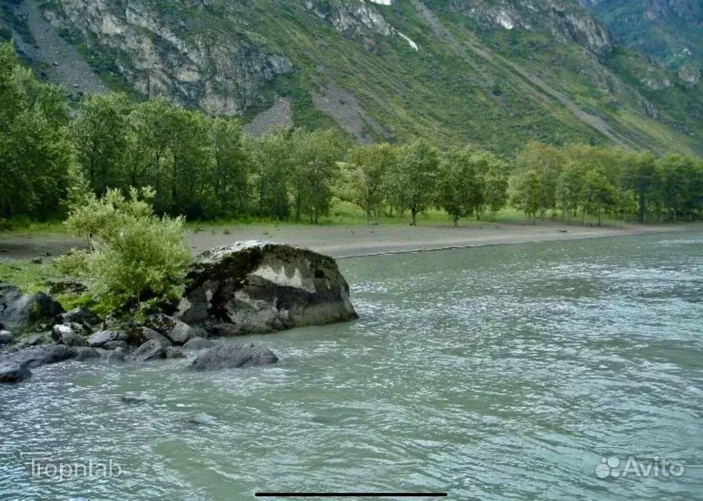 Участок в Алтай, Чемальский район, с. Куюс  (730.0 сот.) - Фото 1