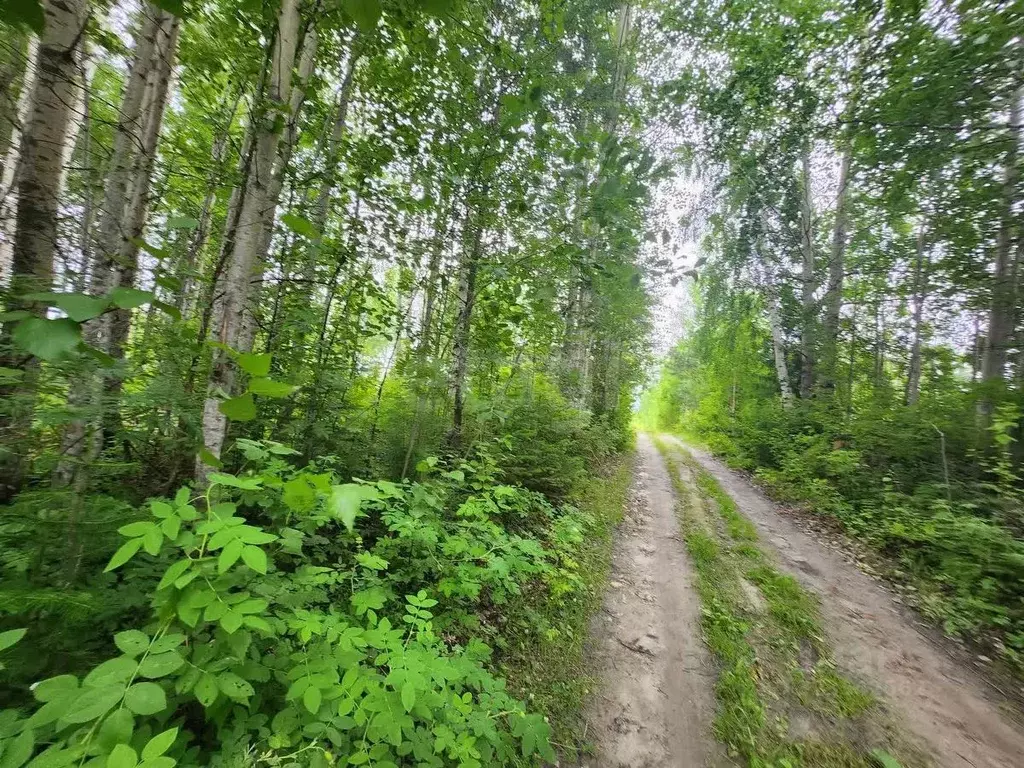 Участок в Ханты-Мансийский АО, Ханты-Мансийск Геофизик-2 СОТ,  (10.4 ... - Фото 2