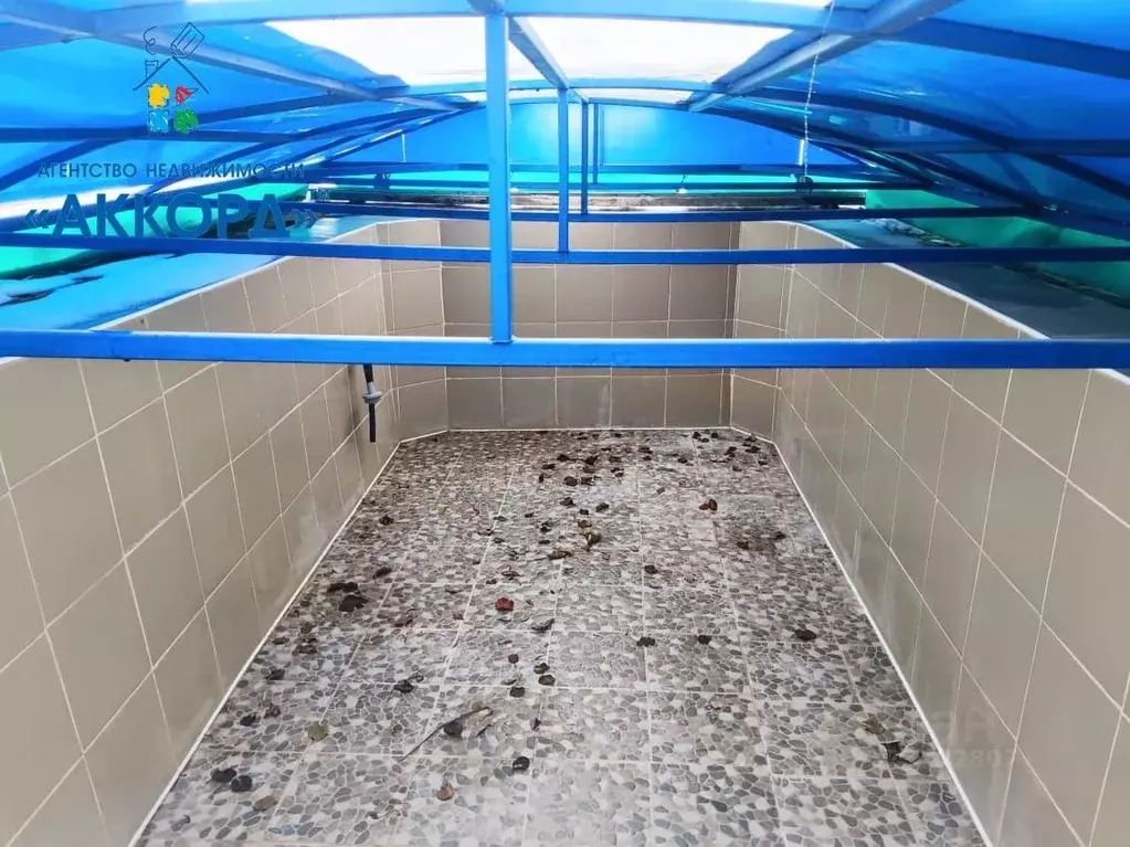 Дом в Алтайский край, Первомайский район, пос. Новый ул. Толстого (79 ... - Фото 2