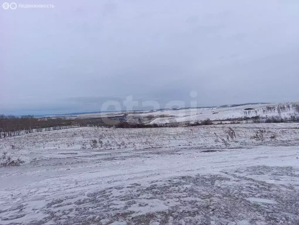 Участок в городской округ Красноярск, городской посёлок Берёзовка ... - Фото 2