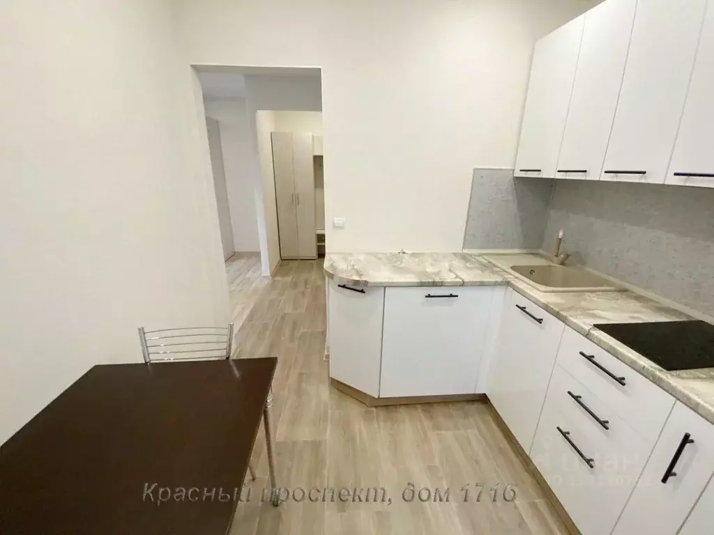 1-к кв. Новосибирская область, Новосибирск Красный просп., 171Б (30.0 ... - Фото 1
