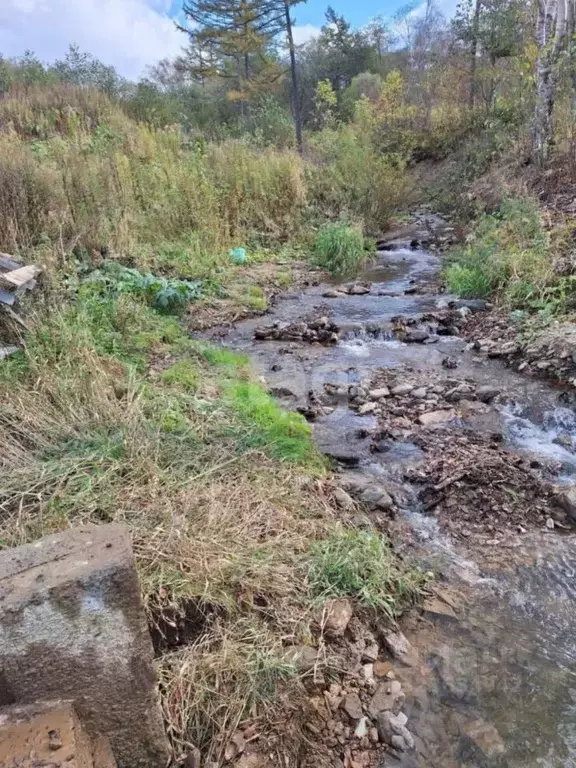 Участок в Сахалинская область, Южно-Сахалинск Вишневый сад-2 СНТ,  ... - Фото 2
