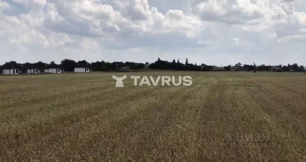 Участок в Крым, Симферопольский район, с. Родниково ул. Крымская, 65 ... - Фото 2