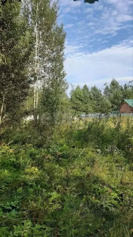 Участок в Московская область, Чехов муниципальный округ, д. Оксино  ... - Фото 2