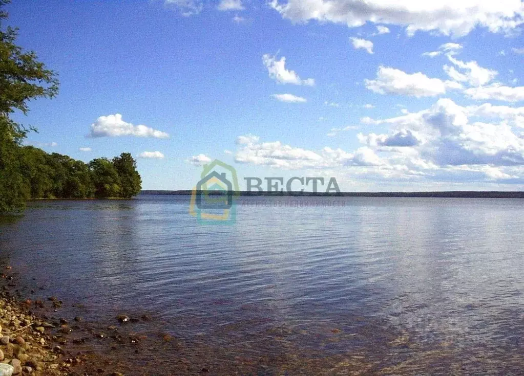 Участок в Ленинградская область, Приозерский район, Плодовское с/пос, ... - Фото 1