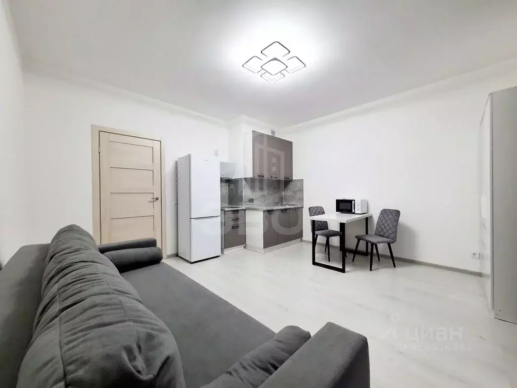 Студия Санкт-Петербург аллея Арцеуловская, 17 (24.0 м) - Фото 1