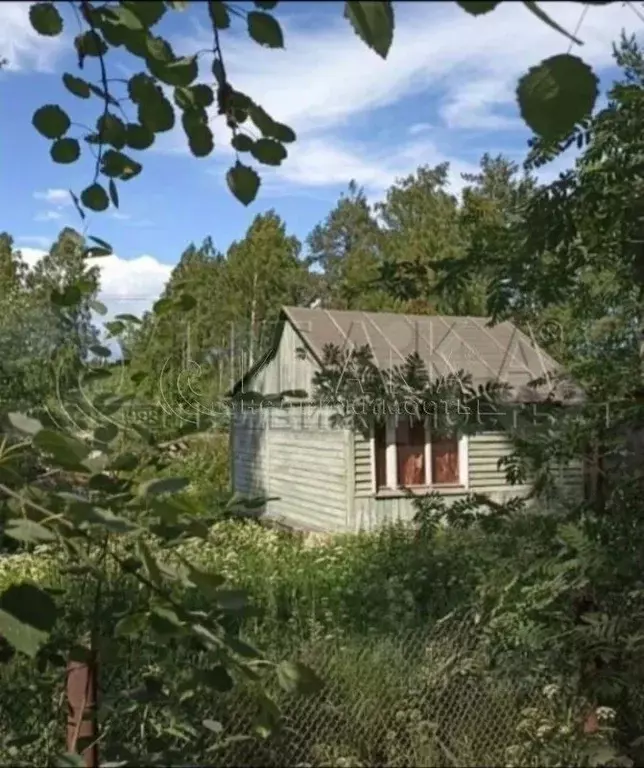 Дом в Ленинградская область, Выборг ул. Ладная, 54 (33 м) - Фото 1