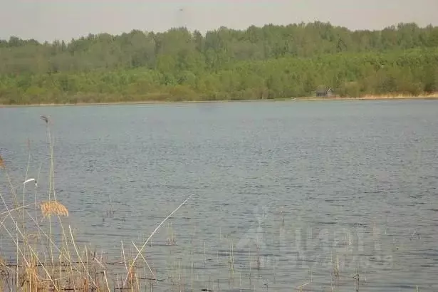 Участок в Псковская область, Плюсский муниципальный округ, д. Ктины  ... - Фото 1